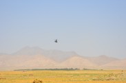 An OH-58D Kiowa Warrior in the air near FOB Al Masaak